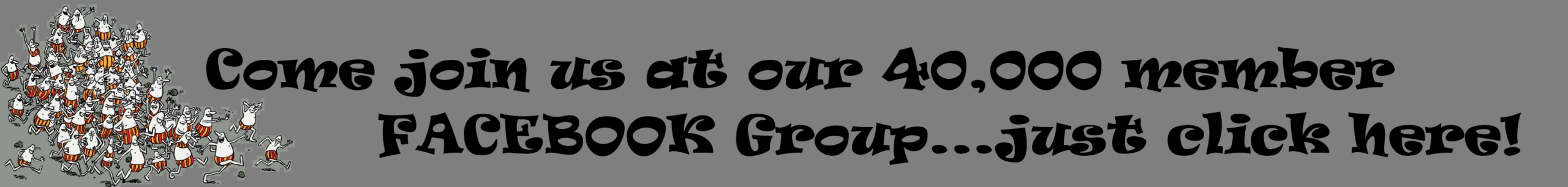 Footer Banner